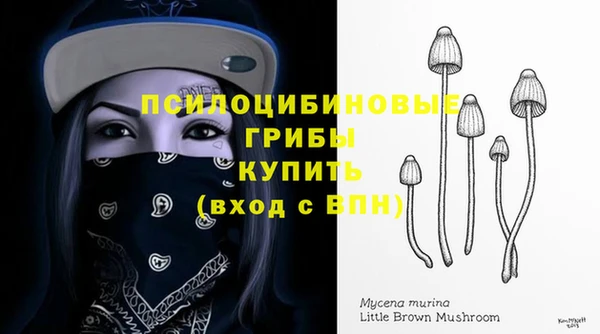герыч Алзамай