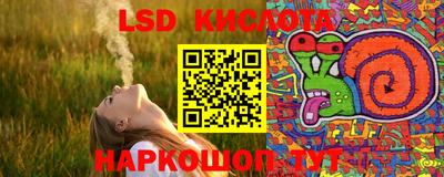 мдпв Кизилюрт