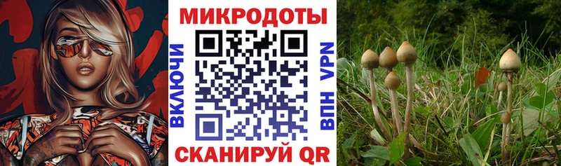 Галлюциногенные грибы Magic Shrooms  Кондопога 
