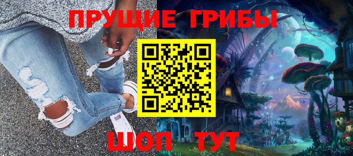Галлюциногенные грибы Psilocybe  Вход с VPN  Кондопога 