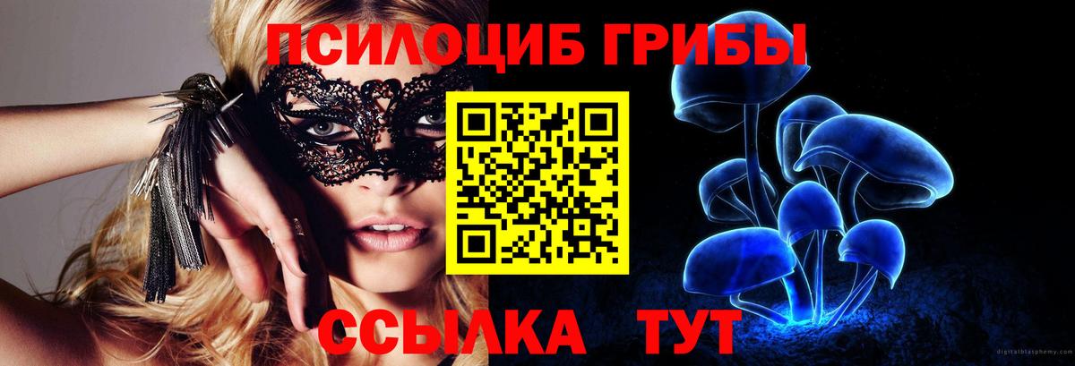 Псилоцибиновые грибы прущие грибы Кондопога